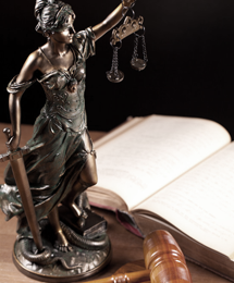 Law